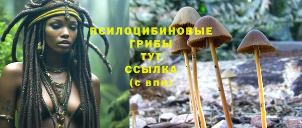 наркотики Абаза